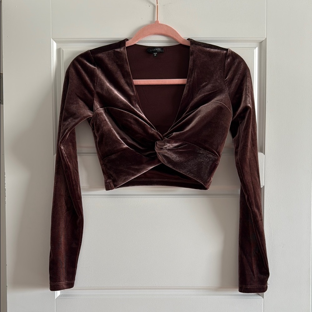 Elegant Velvet Long Sleeve Top - Brown